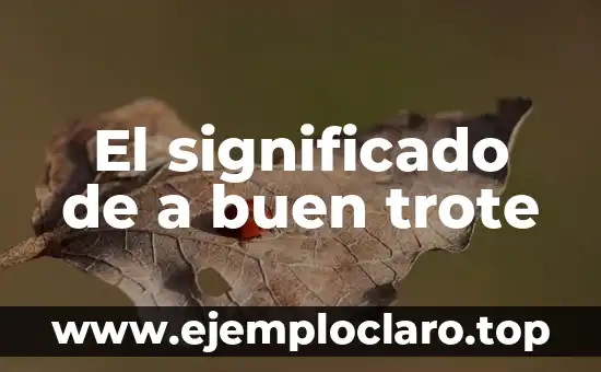 El significado de a buen trote