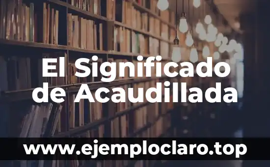 Significado y Definición de Pluralismo 5 El Significado de Acaudillada