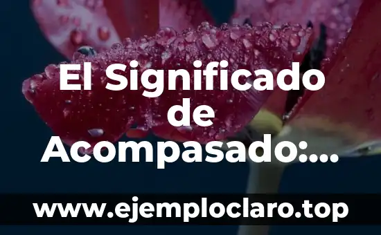 El Significado de Acompasado: La Sincronización Perfecta en el Movimiento