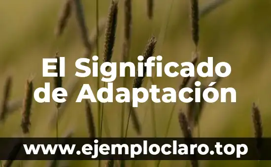 El Significado de Acompasado: La Sincronización Perfecta en el Movimiento 6 El Significado de Adaptación