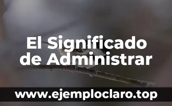 Significado y Definición de Pluralismo 3 El Significado de Administrar
