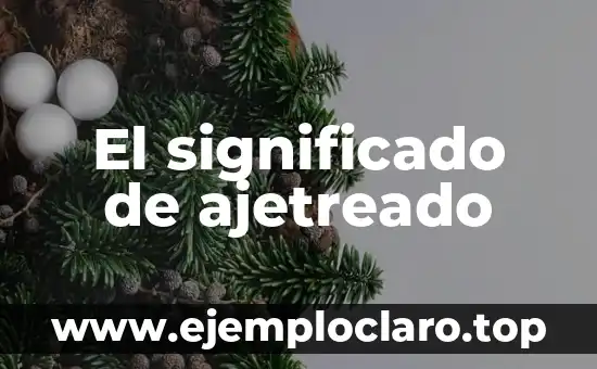 Significado y Definición de Misión 3 El significado de ajetreado