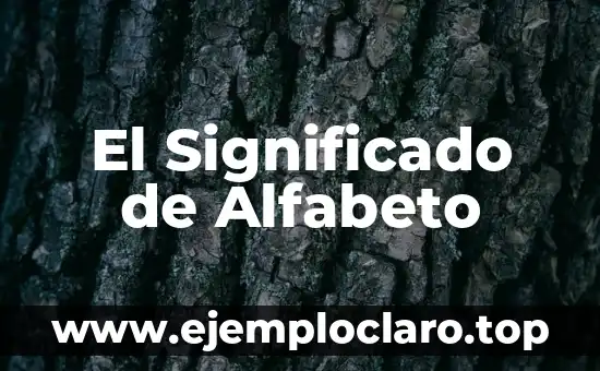 Significado y Definición de Droguería 6 El Significado de Alfabeto