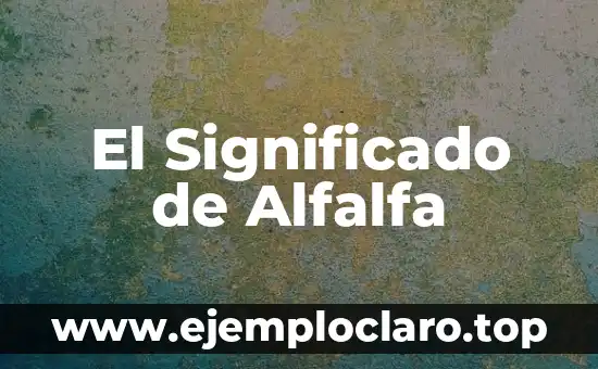 Significado y Definición de Droguería 3 El Significado de Alfalfa