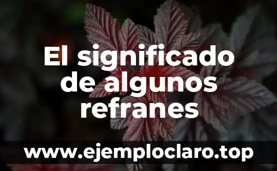 Significados de los Refranes Más Populares 6 El significado de algunos refranes