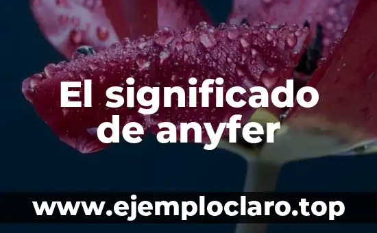 El significado de anyfer