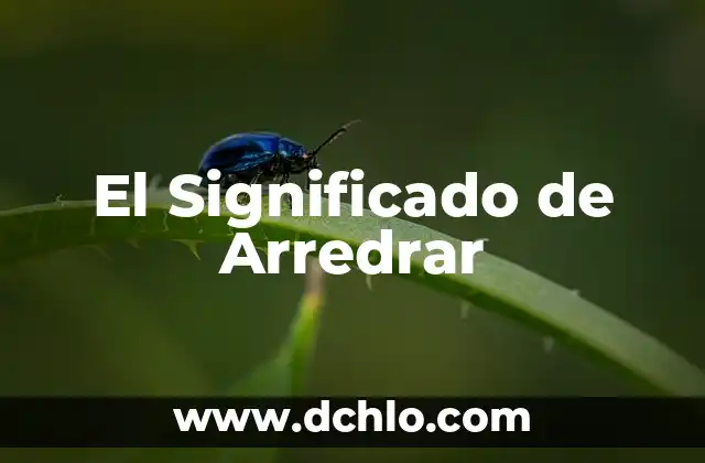 El Mundo de los Esquilos: Un Vistazo a su Significado y Concepto 6 El Significado de Arredrar