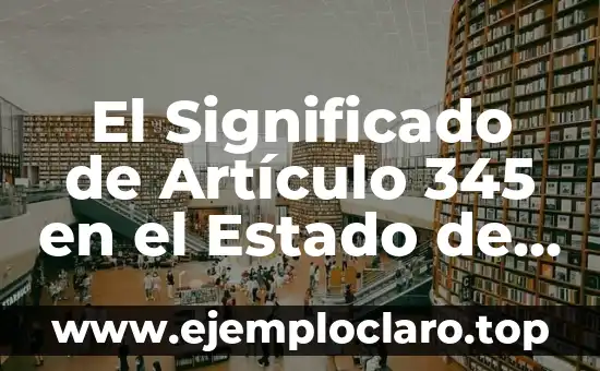Audiencia 345 - Un Concepto Legal en el Estado de Veracruz 4 El Significado de Artículo 345 en el Estado de Veracruz
