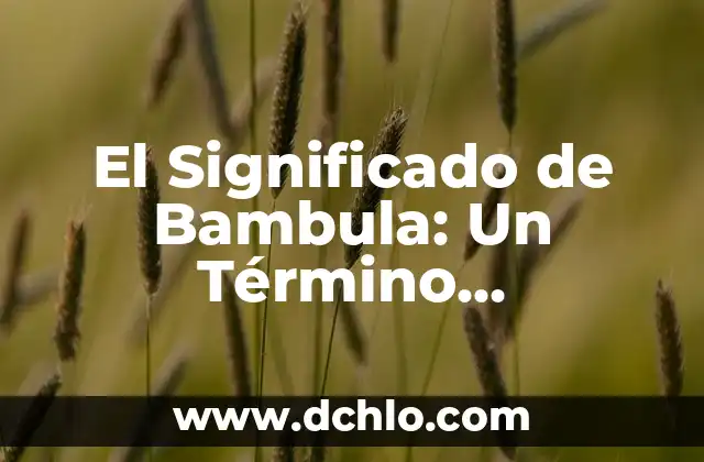 Resistencia: Un Concepto Multifacético 5 El Significado de Bambula: Un Término Multifacético
