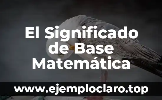 Base de Datos: Concepto y Significado 6 El Significado de Base Matemática