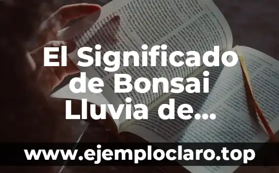 Cómo hacer un bonsai de buganvilias 4 El Significado de Bonsai Lluvia de Estrellas