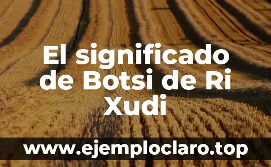 El Concepto de Biografía y su Significado 4 El significado de Botsi de Ri Xudi