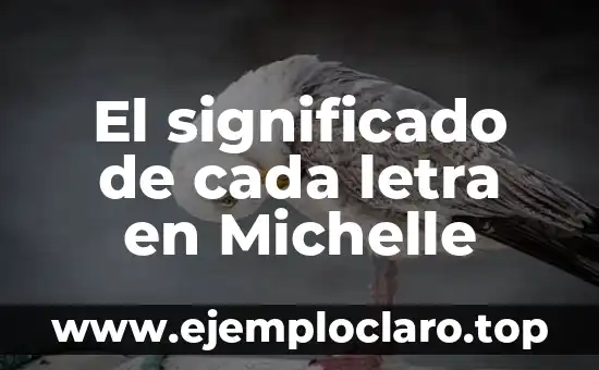El significado de cada letra en Michelle