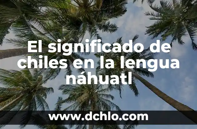 El Significado de Chichiltik en Nahuatl 7 El significado de chiles en la lengua náhuatl