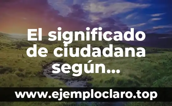 El significado de ciudadana según Wikipedia