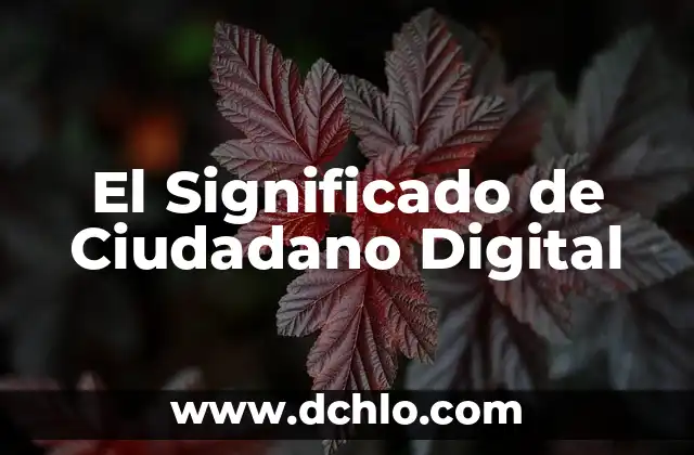 Significado del Logo de Movimiento Ciudadano 4 El Significado de Ciudadano Digital