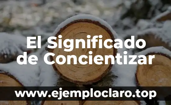 El significado de Castellanizar: Un viaje al corazón del idioma español 8 El Significado de Concientizar