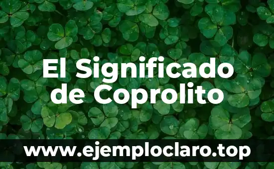Significado de la Parte Activa de los Valores 6 El Significado de Coprolito
