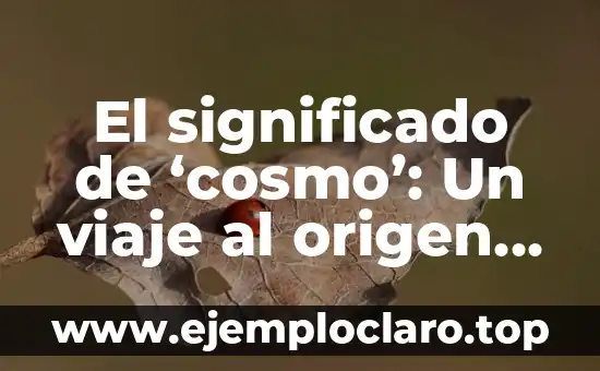 El significado de 'cosmo': Un viaje al origen del universo