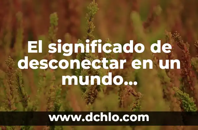 Emoticonos y Gafas de Sol: Un Mundo de Expresión Digital 8 El significado de desconectar en un mundo hiperconectado