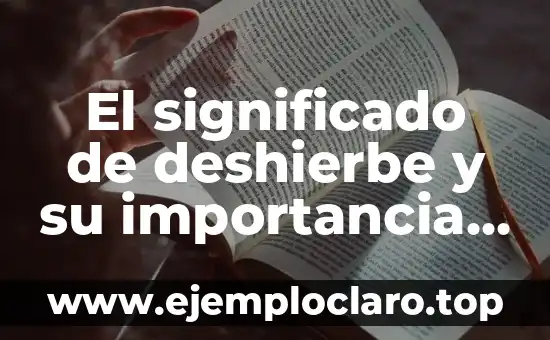 El significado de deshierbe y su importancia en el mantenimiento de espacios