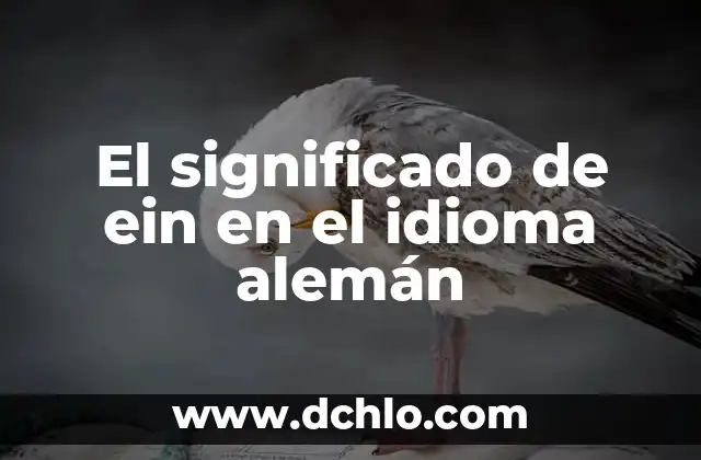 El significado de tras en el idioma español 8 El significado de ein en el idioma alemán
