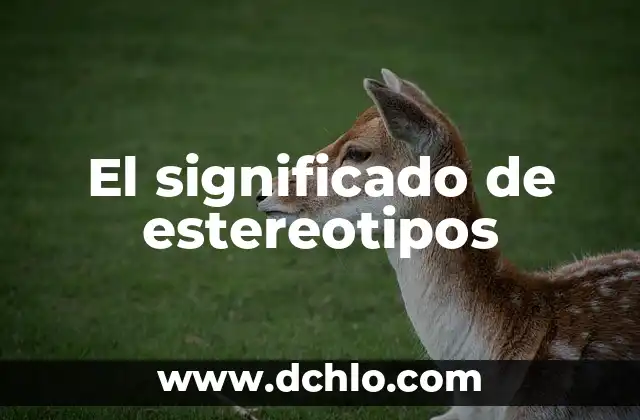 Cómo hacer estereotipos 6 El significado de estereotipos