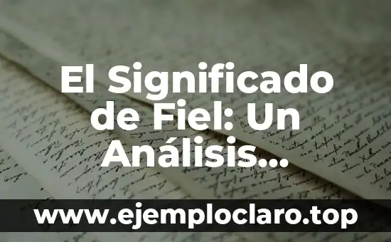 El Significado de Fiel: Un Análisis Profundo