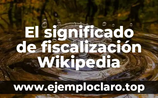 El Concepto de Hatajo y Su Relación con Wikipedia 8 El significado de fiscalización Wikipedia