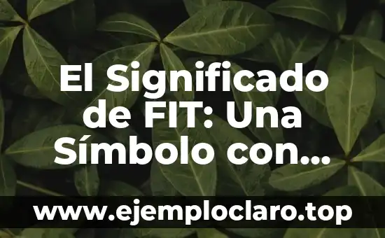 Picadura de Araña Significado Emocional - Un Viaje al Mundo de los Símbolos 3 El Significado de FIT: Una Símbolo con Múltiples Facetas