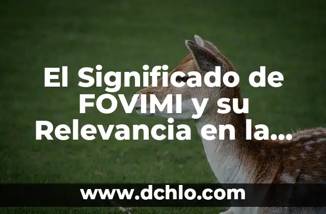 Descubre el significado de individualidad y su importancia en la sociedad actual 3 El Significado de FOVIMI y su Relevancia en la Comunicación Actual