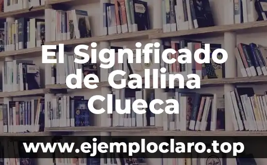 El Significado de Gallina Clueca
