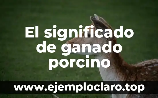 ¿Qué ha ganado el Real Madrid en su historia? 4 El significado de ganado porcino