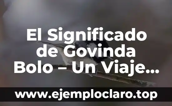 El Significado de Govinda Bolo - Un Viaje Cultural y Espiritual