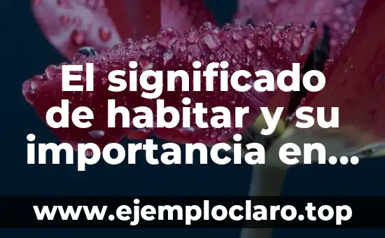 El Significado Filosófico de los Actos Morales 8 El significado de habitar y su importancia en la vida humana