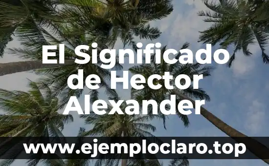 Significado de Albricias: Descubre el Concepto y su Origen 8 El Significado de Hector Alexander
