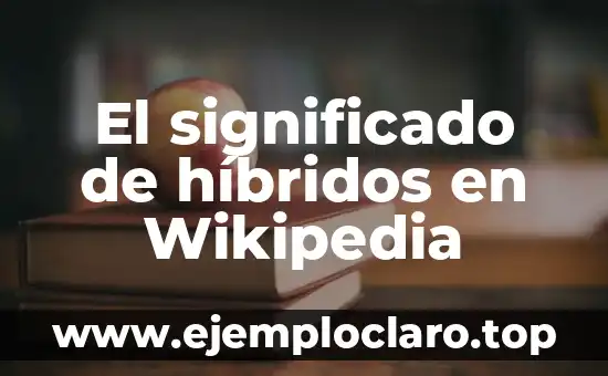 El significado de la argumentación en la filosofía 5 El significado de híbridos en Wikipedia