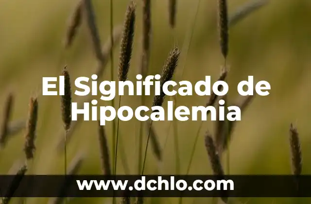 Significado de la Falta de Conciencia Electoral 3 El Significado de Hipocalemia
