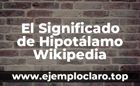 El significado de justicia wikipedia 8 El Significado de Hipotálamo Wikipedia