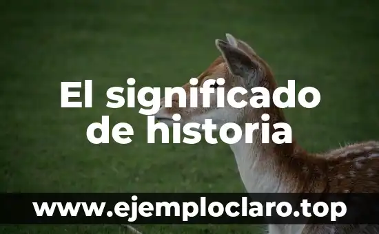 El significado de historia