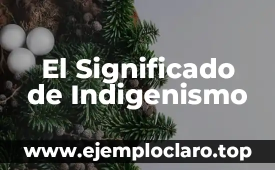 El Significado de Indigenismo