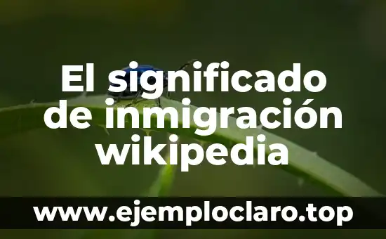 Inmigración significado de la ONU 5 El significado de inmigración wikipedia