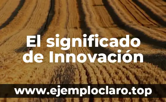 El significado de Innovación