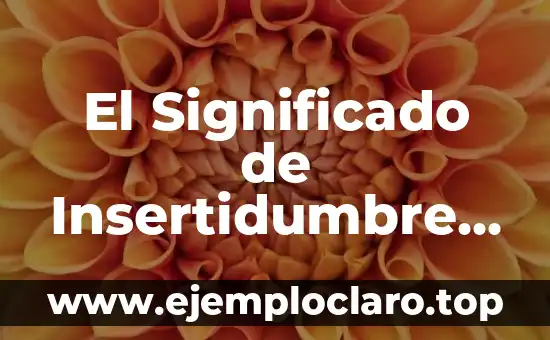 El Significado de Insertidumbre en Psicología