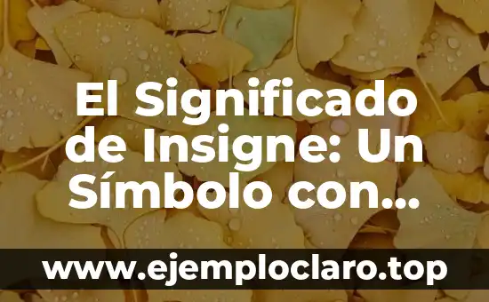 El Significado de Insigne: Un Símbolo con Historia