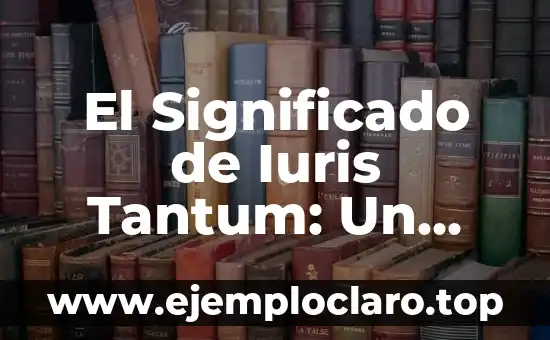 Tipos de Monografías: Significado y Concepto 7 El Significado de Iuris Tantum: Un Concepto Legal Fundamental
