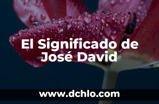 Significado de San José El Mogote 5 El Significado de José David