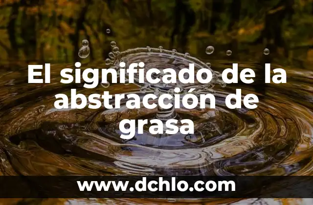 Significado Oscuro de la Ancla 8 El significado de la abstracción de grasa
