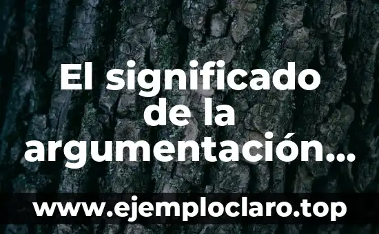 El significado de la argumentación en la filosofía