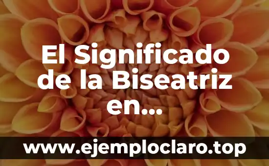 El Concepto de Medida en Matemáticas 6 El Significado de la Biseatriz en Matemáticas